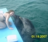 My daughter Kelly, Dolphin Training in Roatan Jan 2007