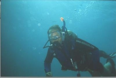 Diving in the Red Sea