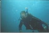 Diving in the Red Sea