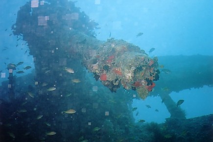 SS Thistlegorm Gun