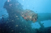 SS Thistlegorm Gun