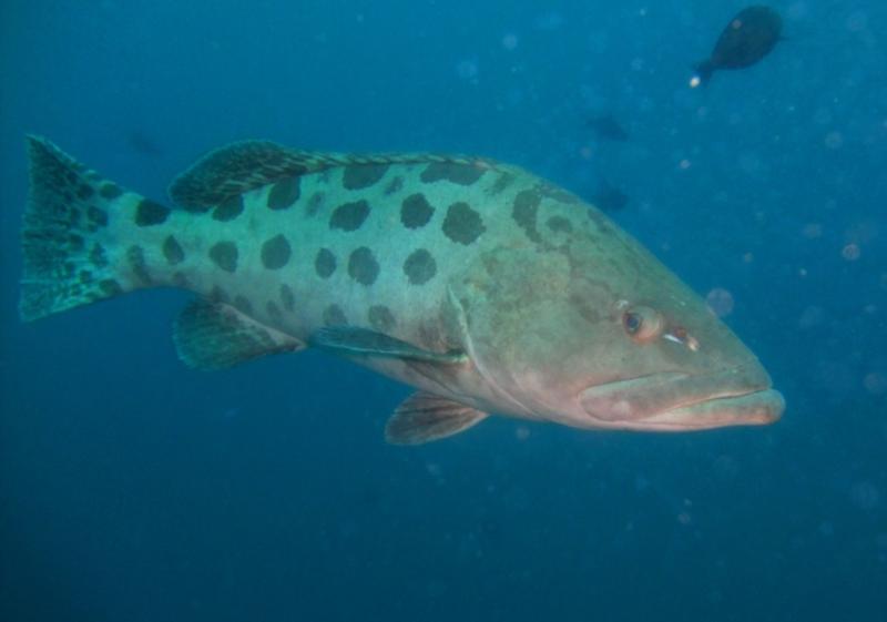 Sodwana Bay, South Africa