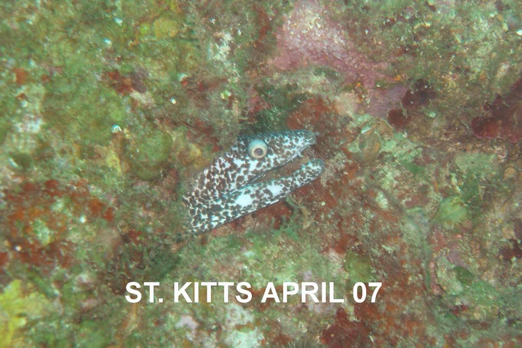 St. Kitts April 2007