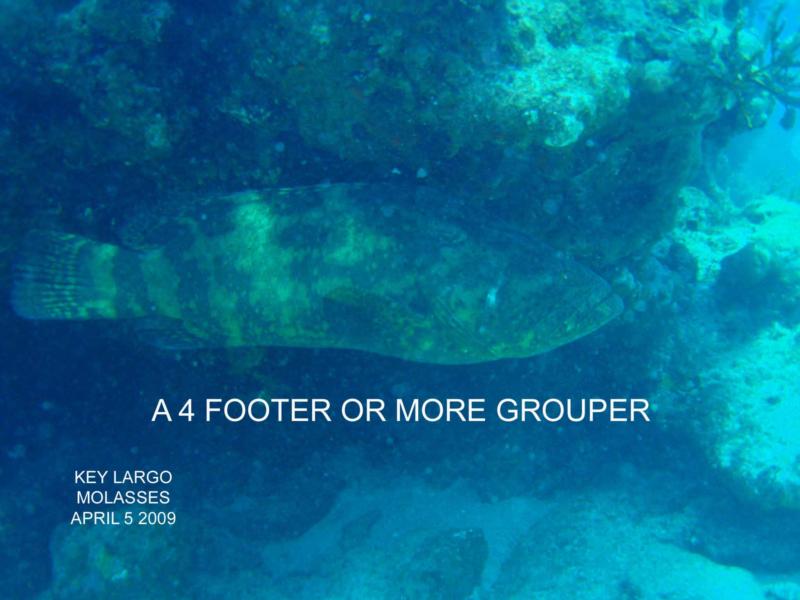 Grouper