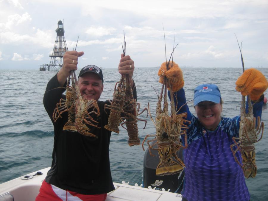 Lobster Catch of The day