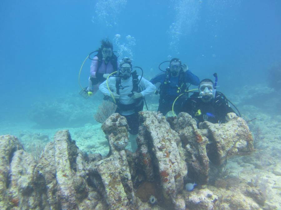 Molasses Reef