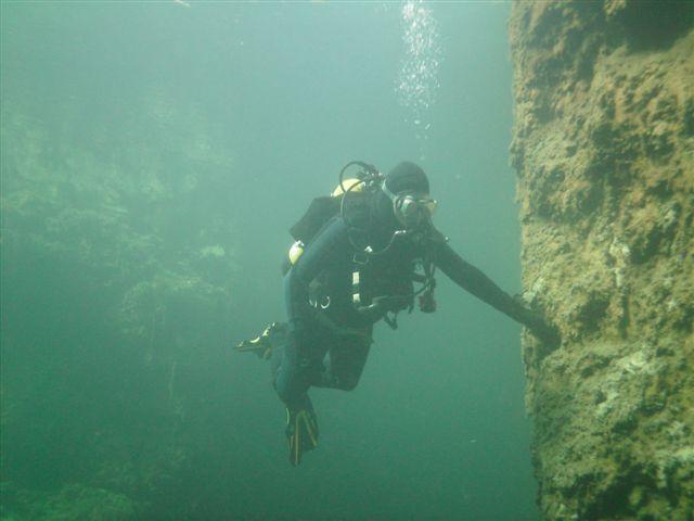 more diving