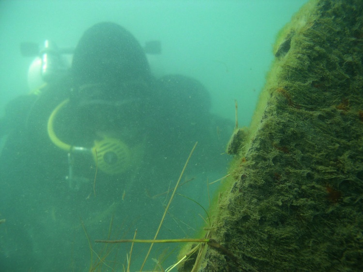 Diver on the BADGER STATE wreck