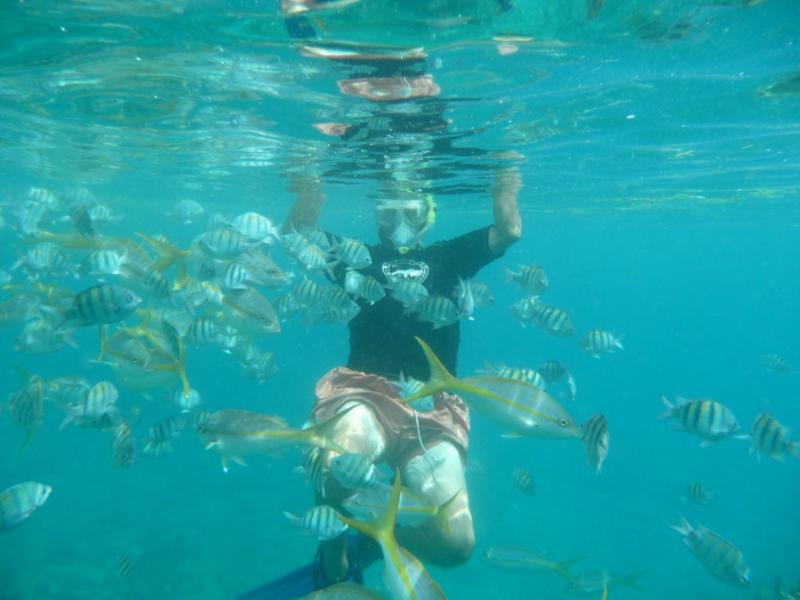 Hugh and Fish, Norman Island BVI