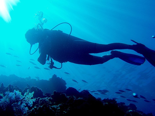 Diveaway diving the Gunbarrel