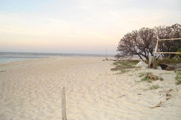 Beach on Apo island