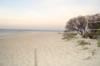 Beach on Apo island