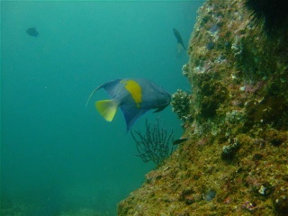 MUSSANDAM, OMAN