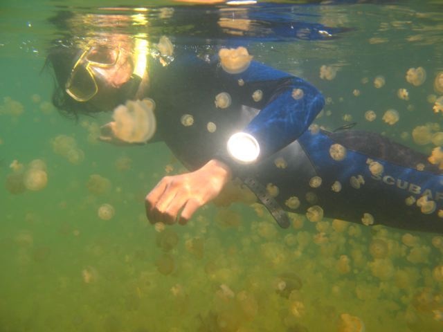 THAT`S ME AT JELLY FISH LAKE (VIKAS) @ PALAU
