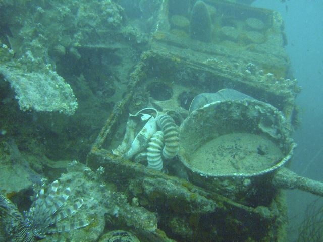 FROM VIKAS - HELMET WRECK @ PALAU