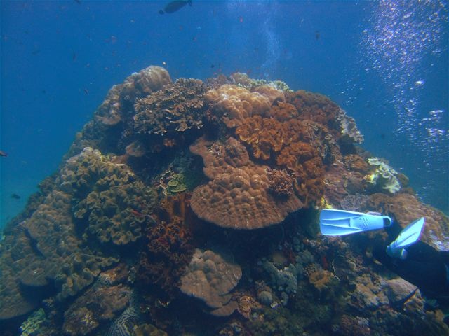 BALI - Nusa Penida @Crystal Bay