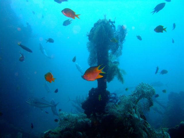 BALI - Tulamben USS LIBERTY WR