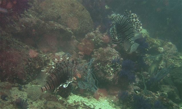 Musandam, Oman