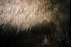 Cenotes - Cave diving, Chac-Mool - MEXICO