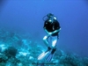 Diving Yoga
