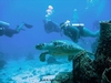 Ana`s close encounter with the underwater kind