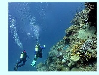 Great Barrier Diving