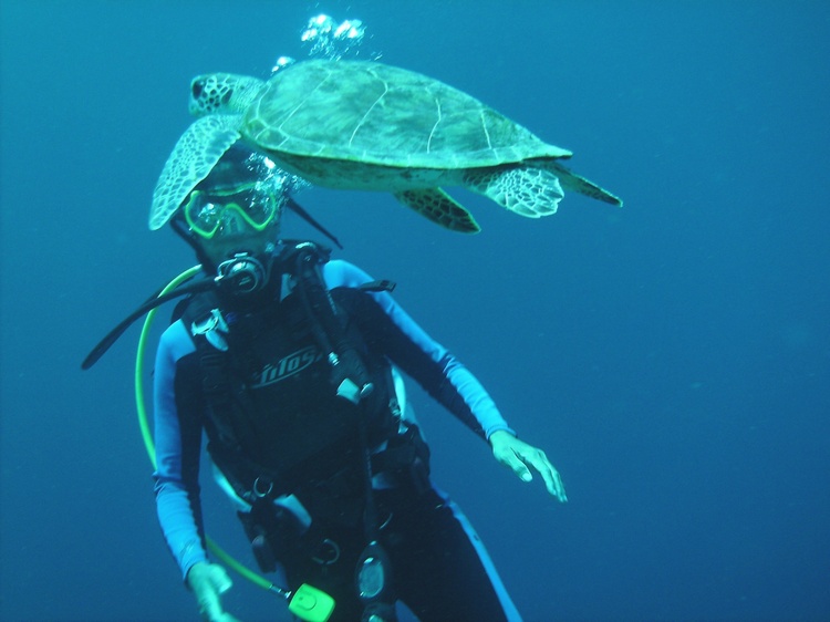 With my friend little turtle