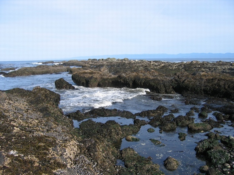 Tongue Point, Saltwater State Park, Straight of Juan de Fuca, Sep `07