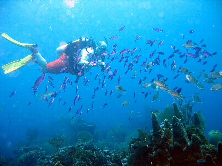 Howard on Roatan Reef, Honduras, Nov 2007