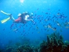 Howard on Roatan Reef, Honduras, Nov 2007