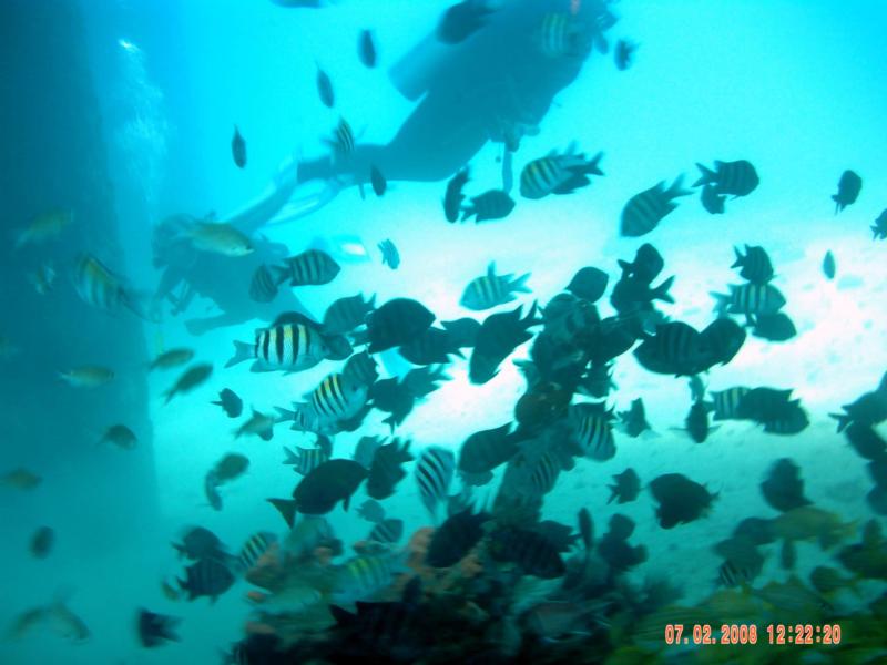 Fredierksted Pier(St.Croix-USVI)