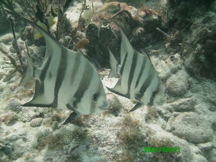 Key Largo