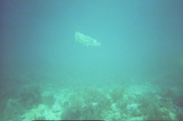 Key Largo