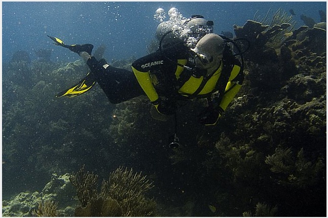 Key Largo Reef (photo by Todd Reimer)