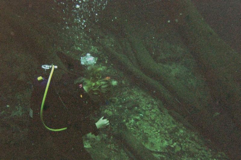 The Snork exploring Catfish Hole