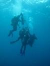 Dive at 26, dive site near quepos
