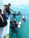 Dive trips in Manuel Antonio - Oceans