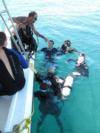 Dive trips in Manuel Antonio