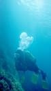 scuba 2