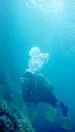 scuba 2