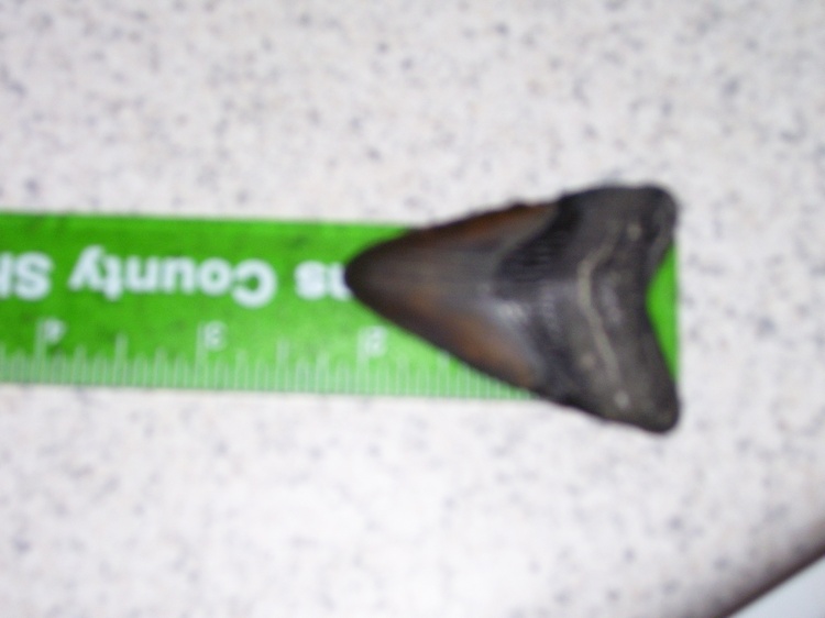 2nd meg