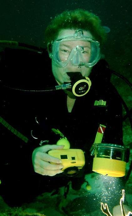 Wild Ass Diver