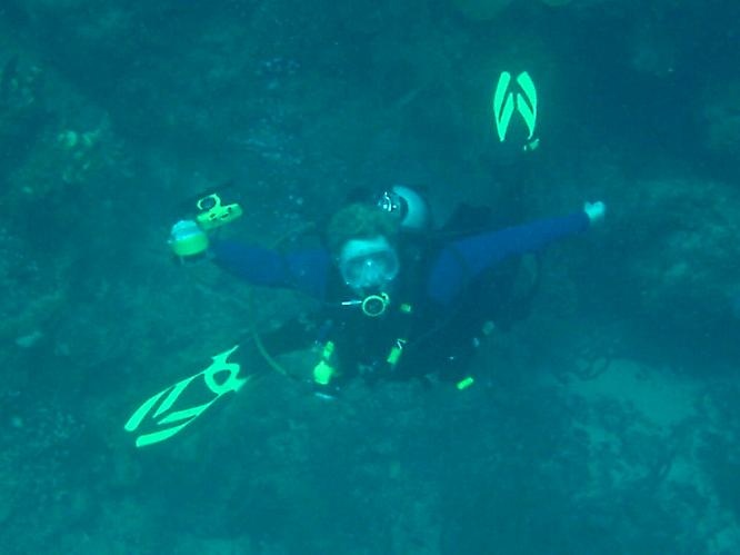 Flying to the bottom.....