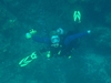 Flying to the bottom.....