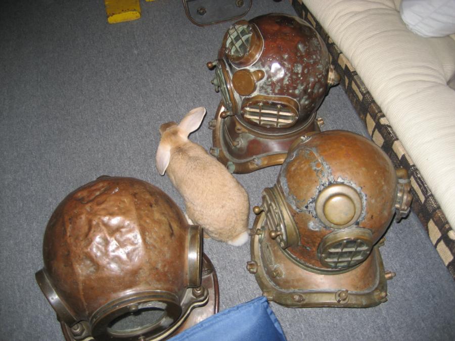 Werner & Diving Helmets