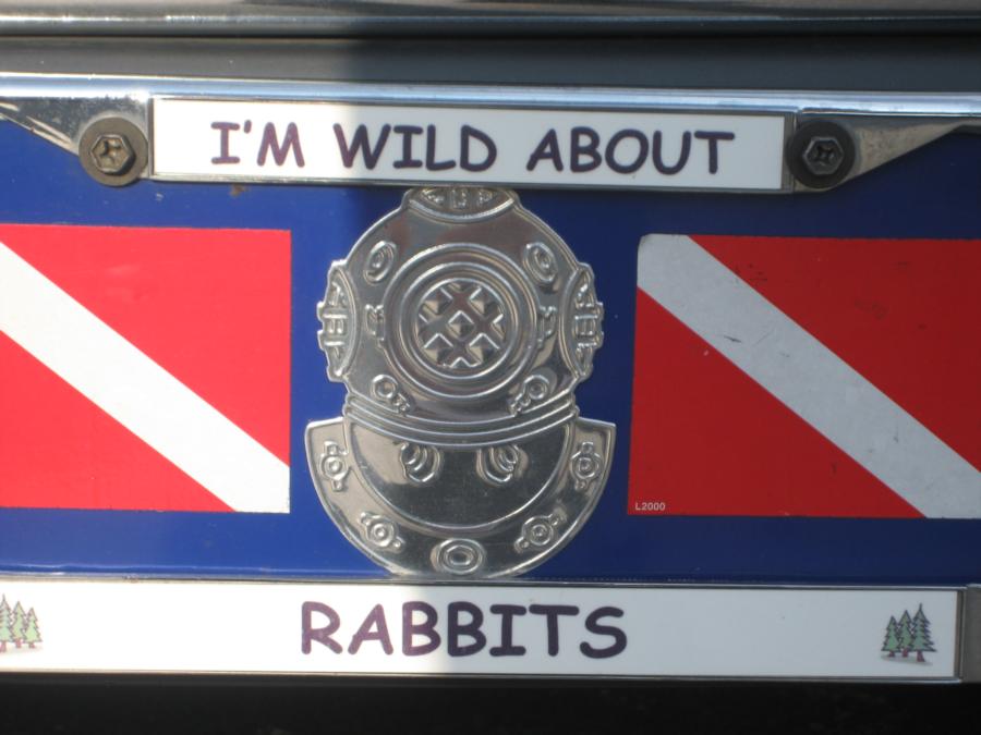 I’m Wild About Rabbits