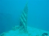 Flag on USS Spiegel Grove. The Keys