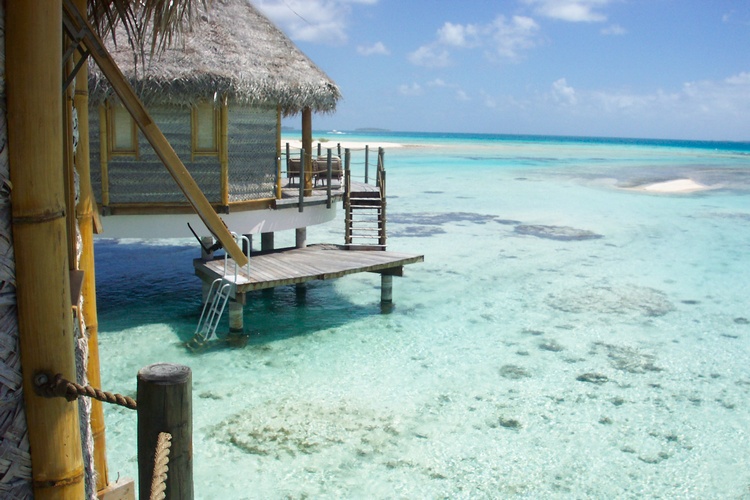 view out of our bungalow,Tikehau, French Polynesia 2004 (c) 2004