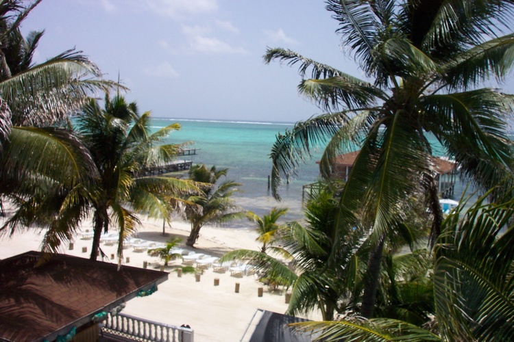 view from room Belize (c) 2005