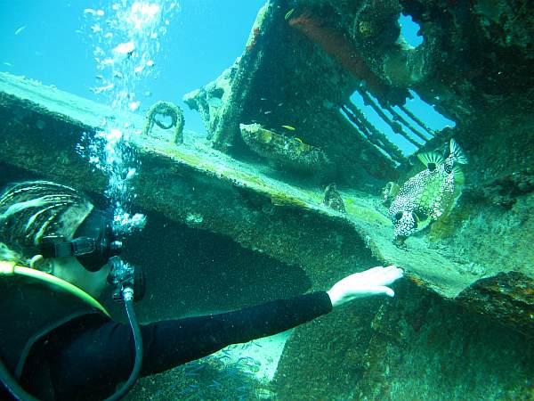 Valentina and Honeycomb Cowfish,St. Barths, USVI  April 2009